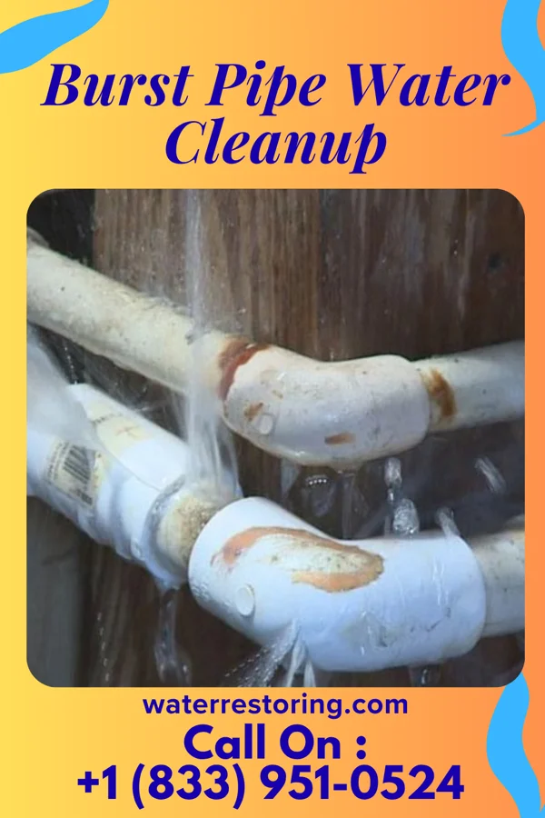Burst Pipe Water Cleanup in Wescosville, PA