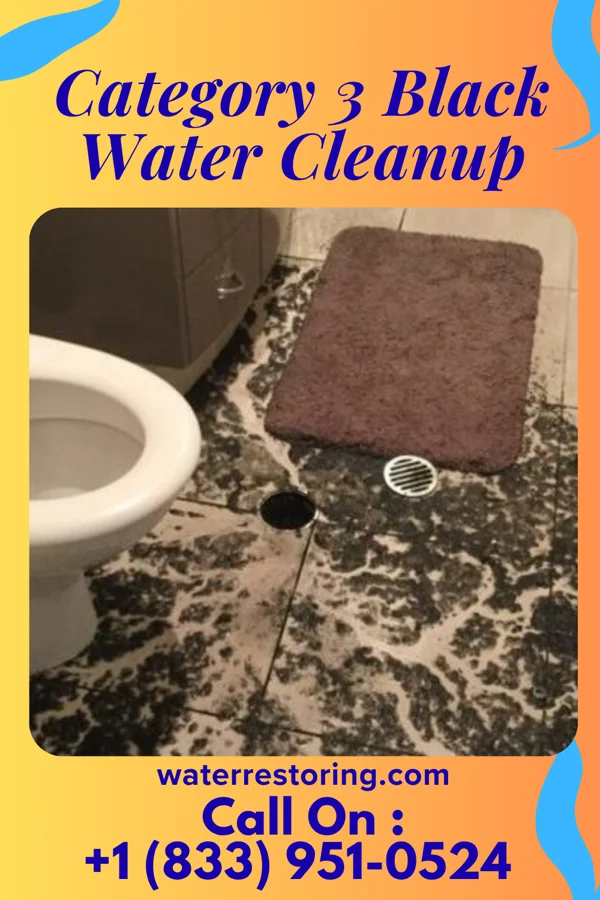 Category 3 Black Water Cleanup in Wescosville, PA