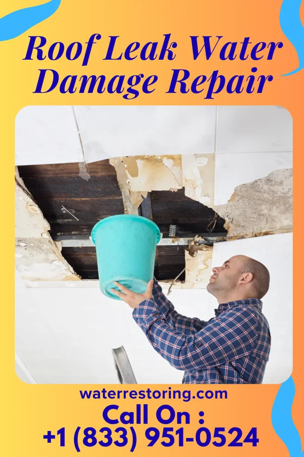 Roof Leak Water Damage Repair in Wescosville, PA