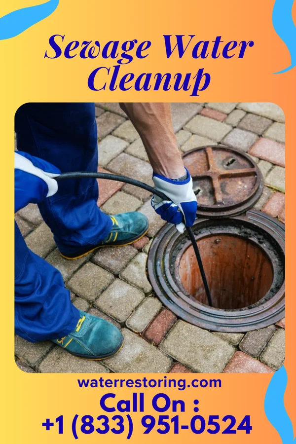 Sewage Water Cleanup in Wescosville, PA
