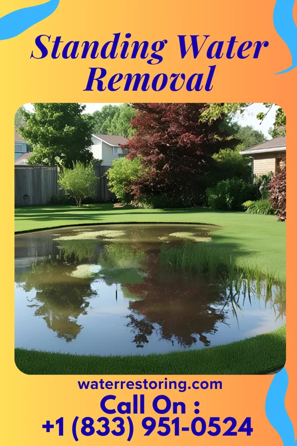 Standing Water Removal in Wescosville, PA